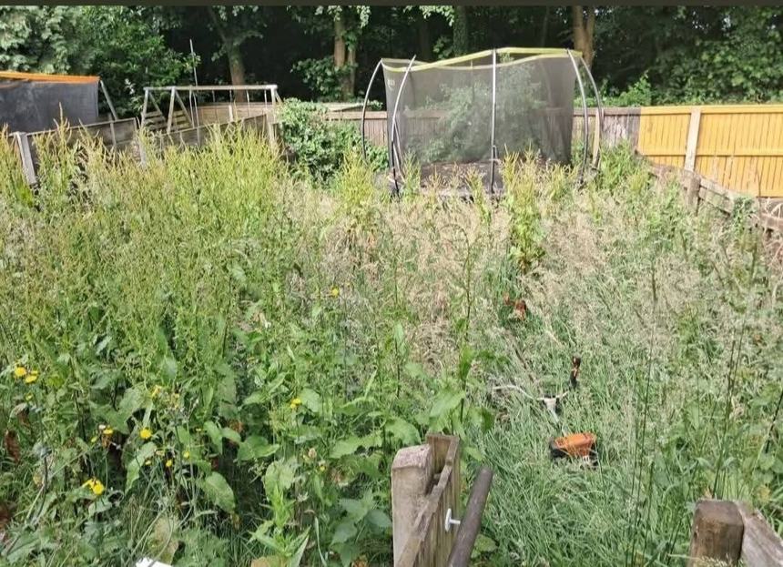 Overgrown garden cleared — before CRJ Gardening & Grounds