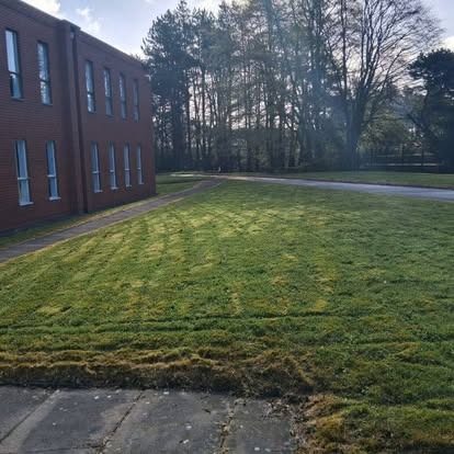 Regular site maintenance — CRJ Gardening & Grounds