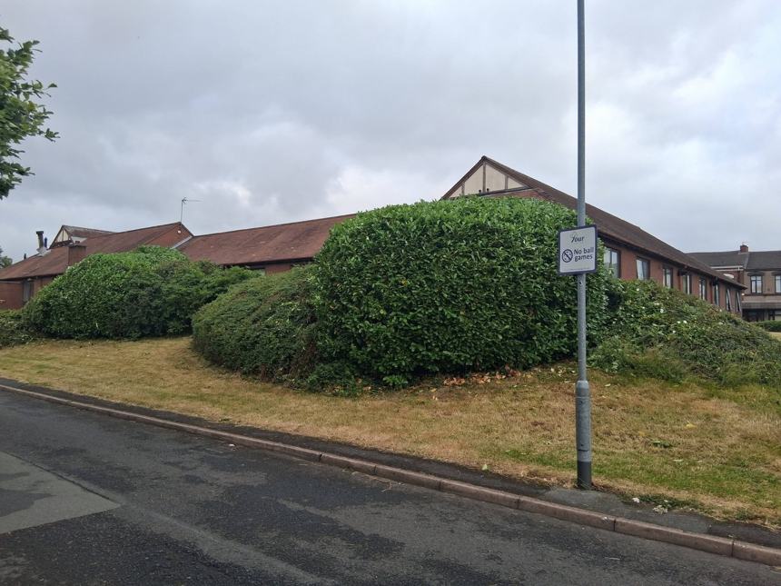 Overgrown corner cut back &mdash; after CRJ Gardening & Grounds