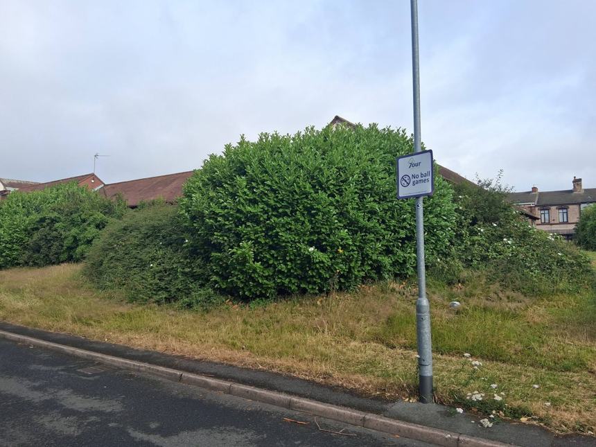 Overgrown corner cut back — before CRJ Gardening & Grounds