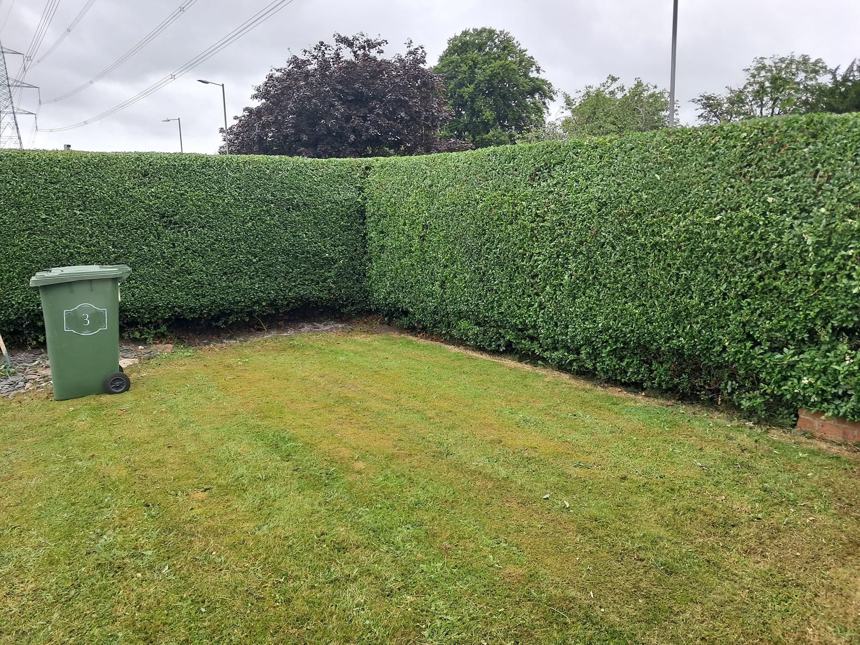 Corner hedge & lawn — after CRJ Gardening & Grounds