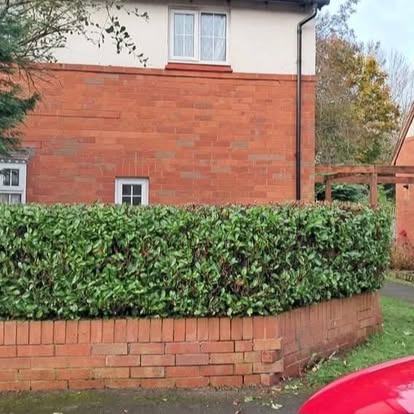 Laurel hedge reshaped &mdash; after CRJ Gardening & Grounds