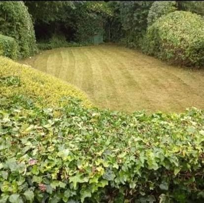 Lawns cut & edged &mdash; CRJ Gardening & Grounds