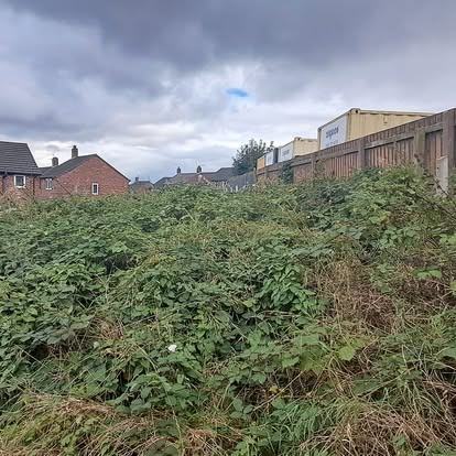 Plot cleared & levelled — before CRJ Gardening & Grounds