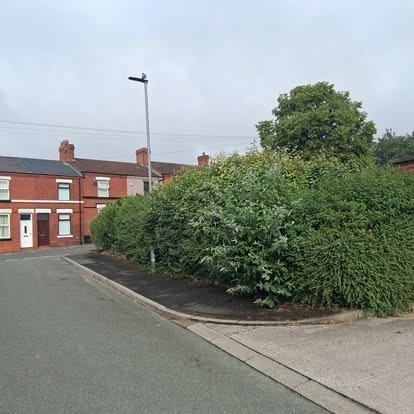 Roadside corner cut back — before CRJ Gardening & Grounds