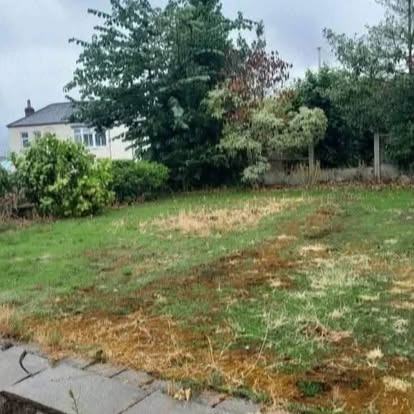 Back garden lawn transformed — before CRJ Gardening & Grounds